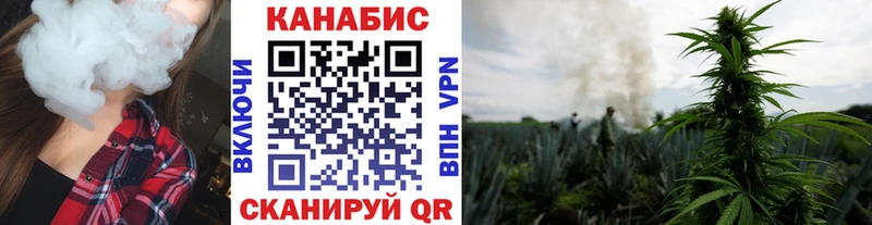 Купить закладки  Асино  Бошки марихуана гибрид 